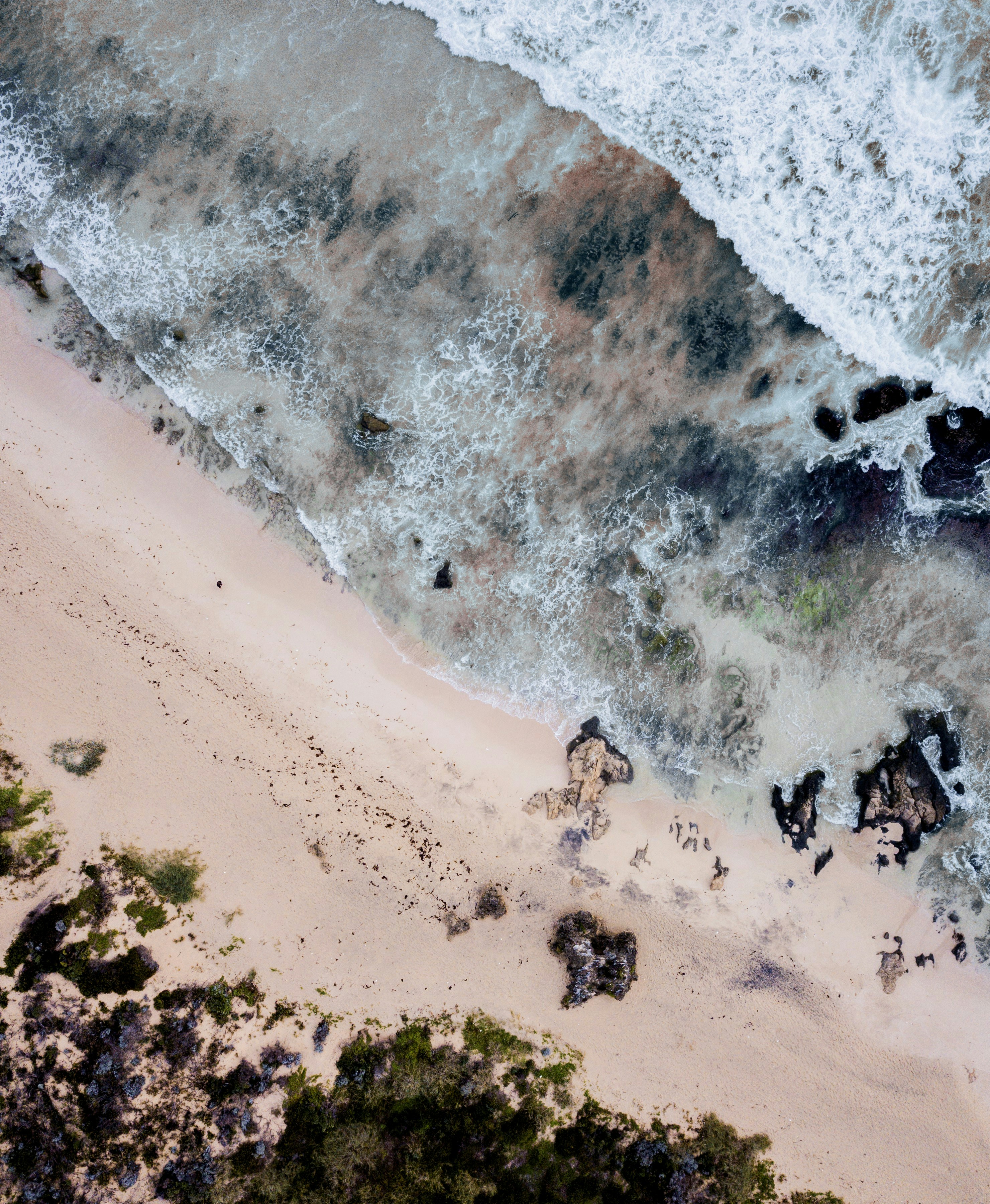 aerial photography of seashore during daytime