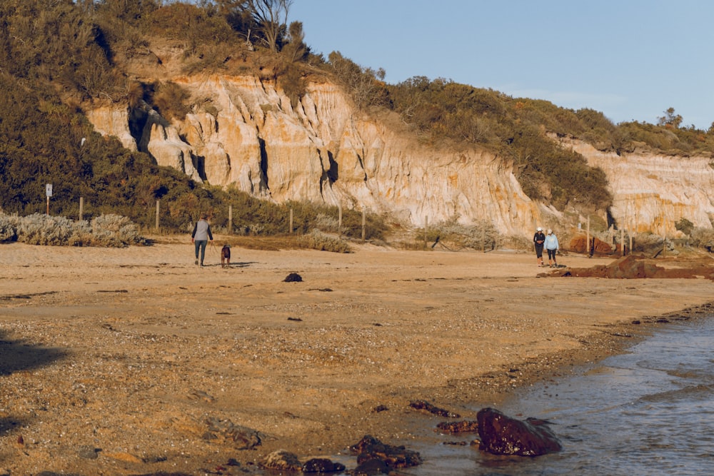 people in brown sand beach