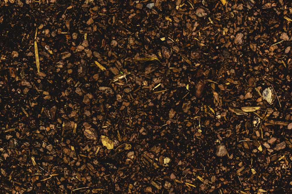 a close up of a pile of dirt