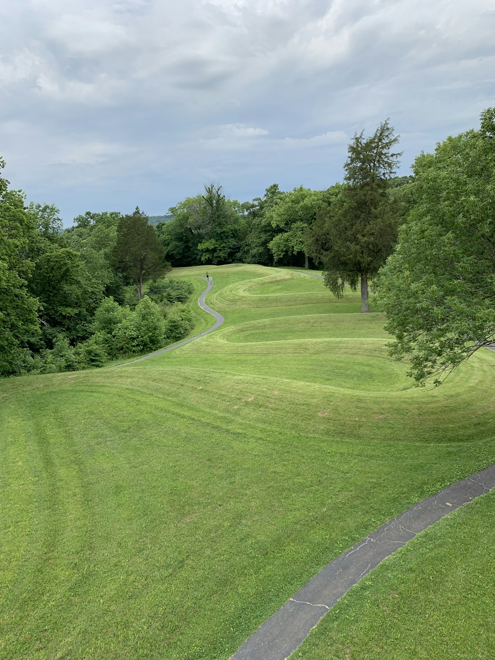 green field during daytime