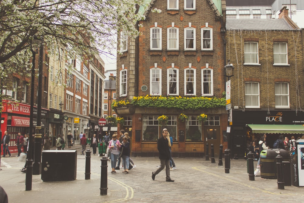 people walking near buildings