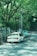 A white taxi is parked on a quiet, winding road surrounded by lush green trees. There is a fence and a prohibition road sign nearby. The scene is urban yet feels tranquil due to the dense greenery.