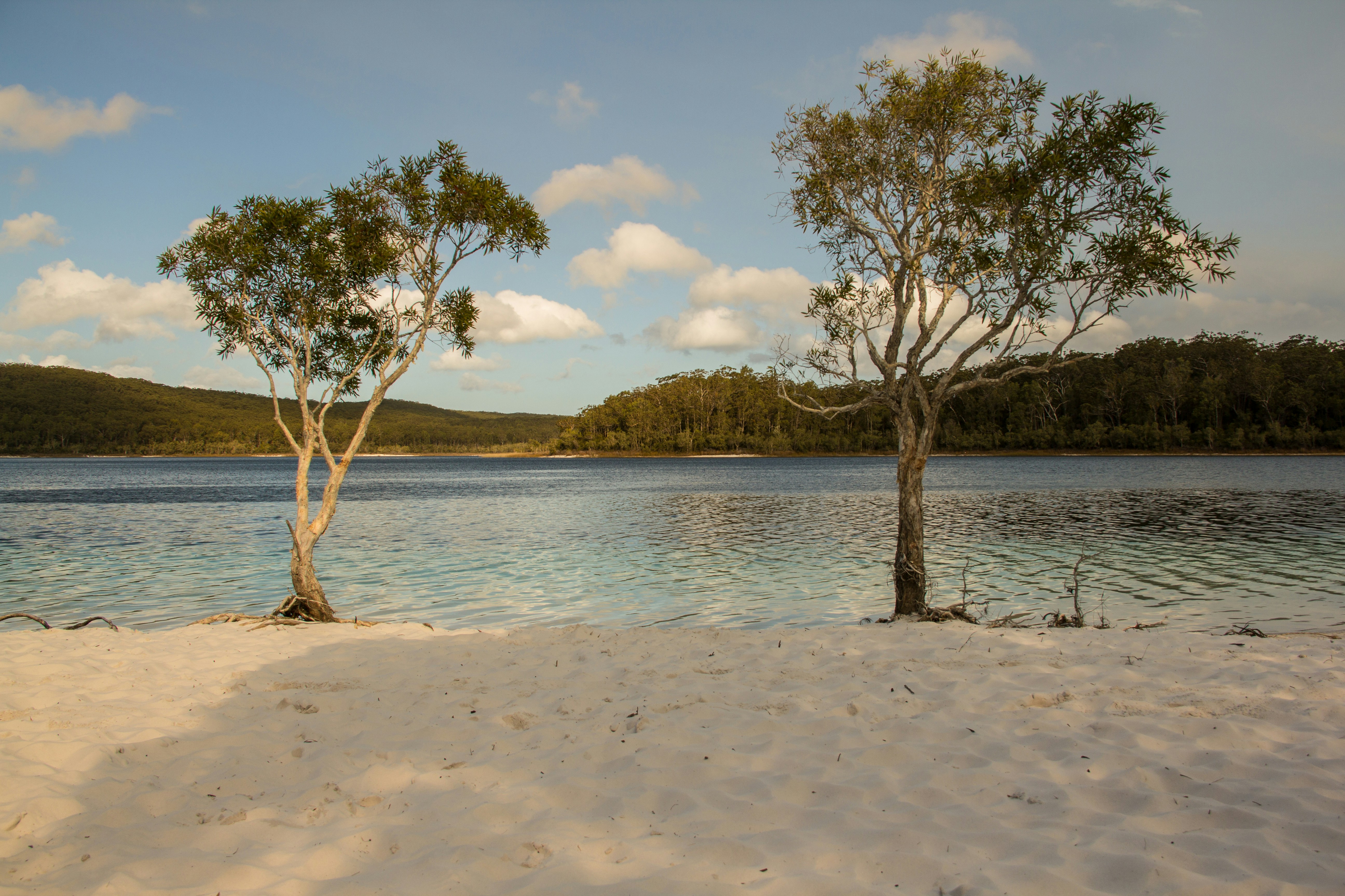 Browse Island, Australia - On a guided tour of Fraser Island in Queensland Australia, made a stop at lake McKenzie towards the end of the day. Fraser island is a large sand island with many interesting features and attractions.