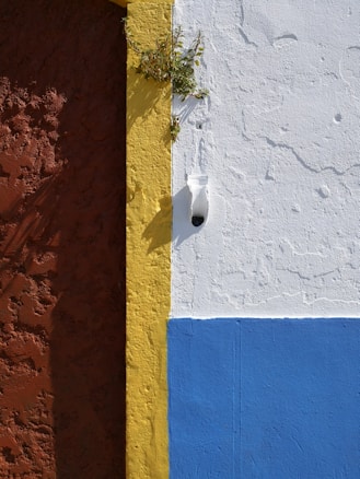 A textured wall is divided into three vertical sections, each painted a different color. The first section is dark red with a rough surface. The middle section is a narrow yellow strip with foliage growing from a crevice. The final section is divided horizontally into white on the top and blue on the bottom, creating a bright contrast. A small object resembling a camera or light fixture is embedded within the white area.
