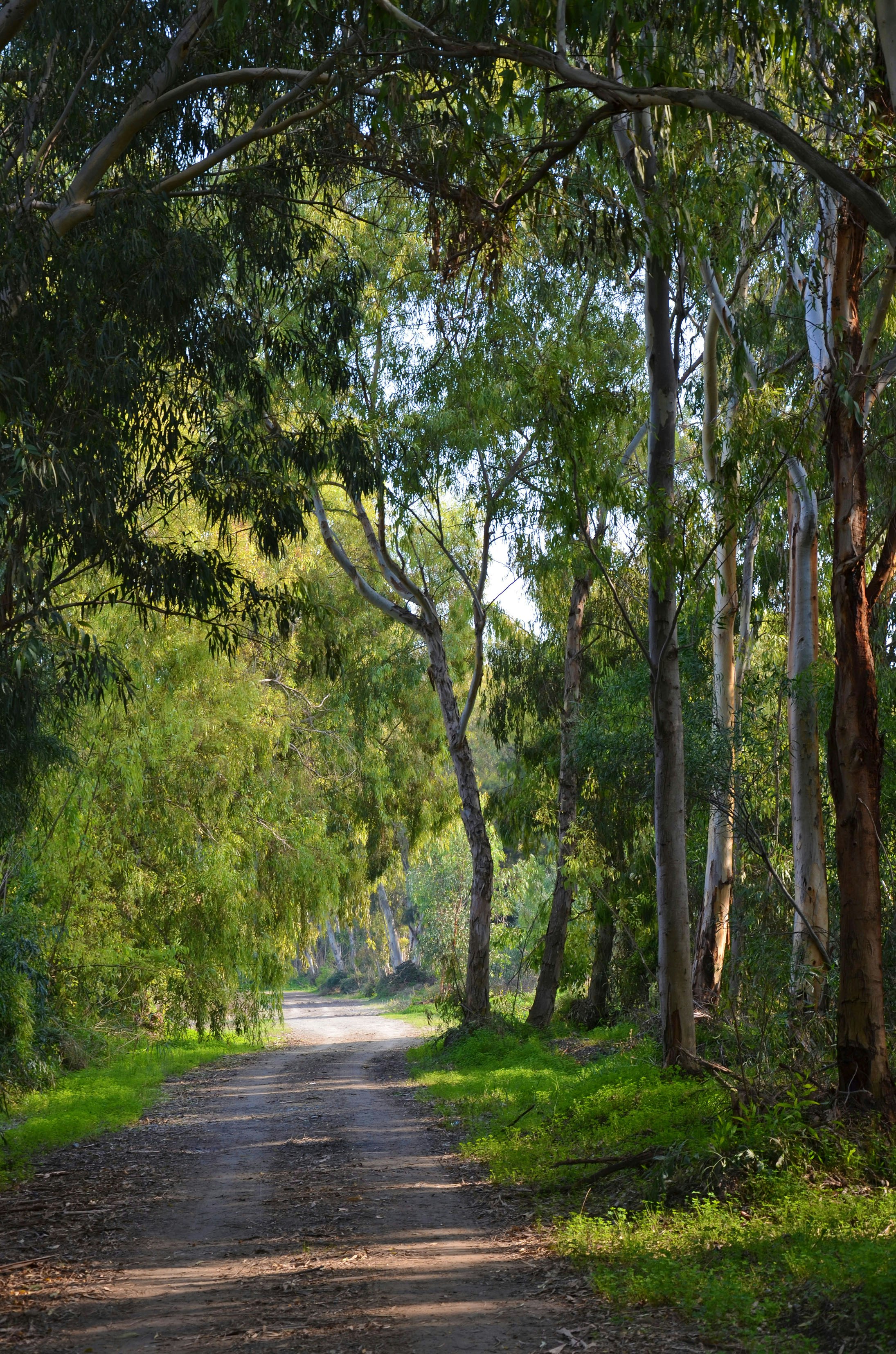 Photo by stevo_splash