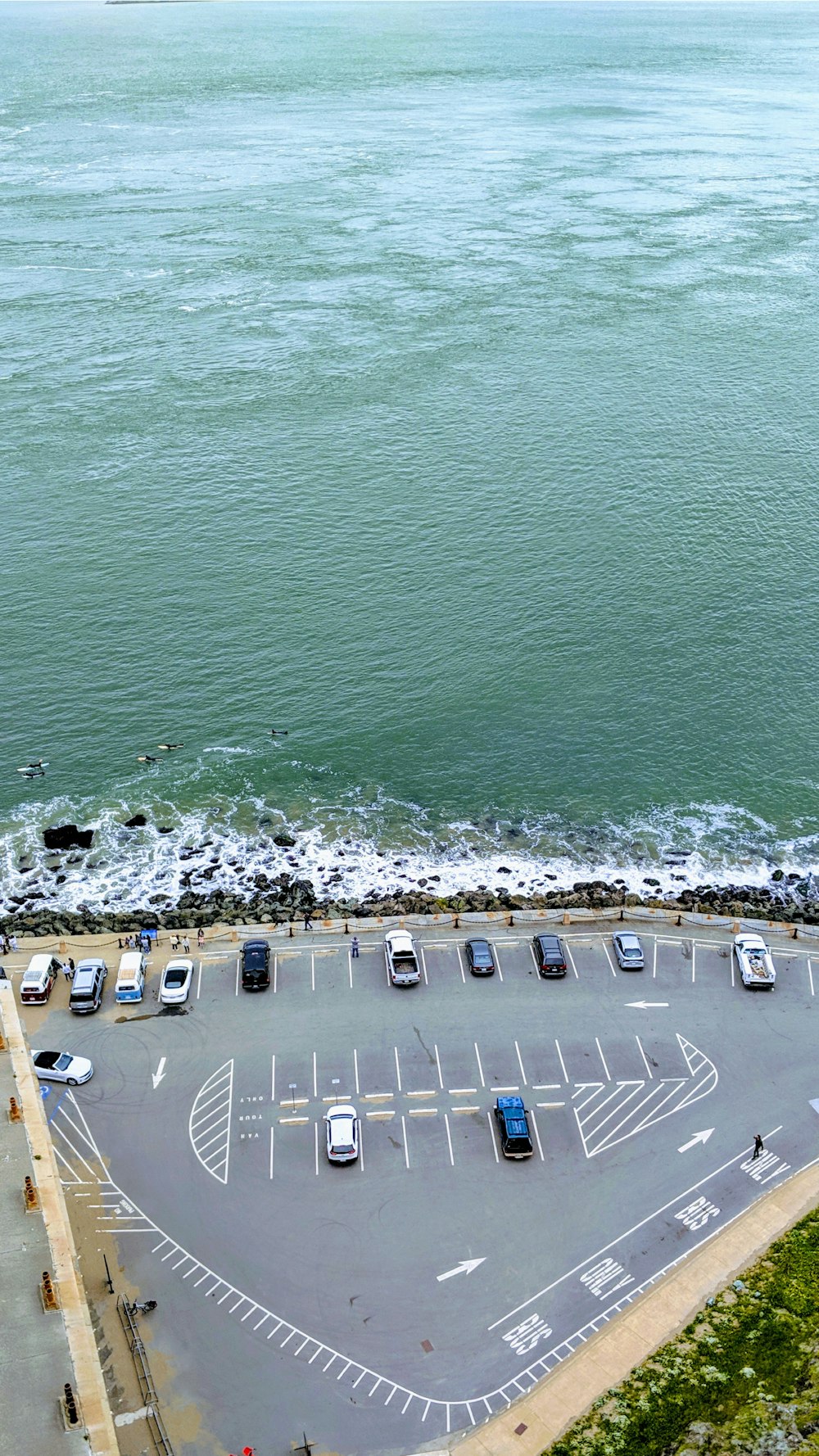 different vehicles parking near road viewing sea