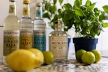 Assorted bottles of beverages and tonic water are arranged on a patterned surface. In the foreground, fresh lemons and limes are scattered, and a potted plant with green foliage adds a touch of nature. The setting suggests a refreshing and lively atmosphere, perfect for crafting drinks.