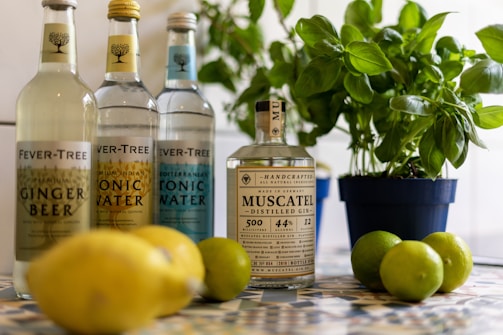 Assorted bottles of beverages and tonic water are arranged on a patterned surface. In the foreground, fresh lemons and limes are scattered, and a potted plant with green foliage adds a touch of nature. The setting suggests a refreshing and lively atmosphere, perfect for crafting drinks.
