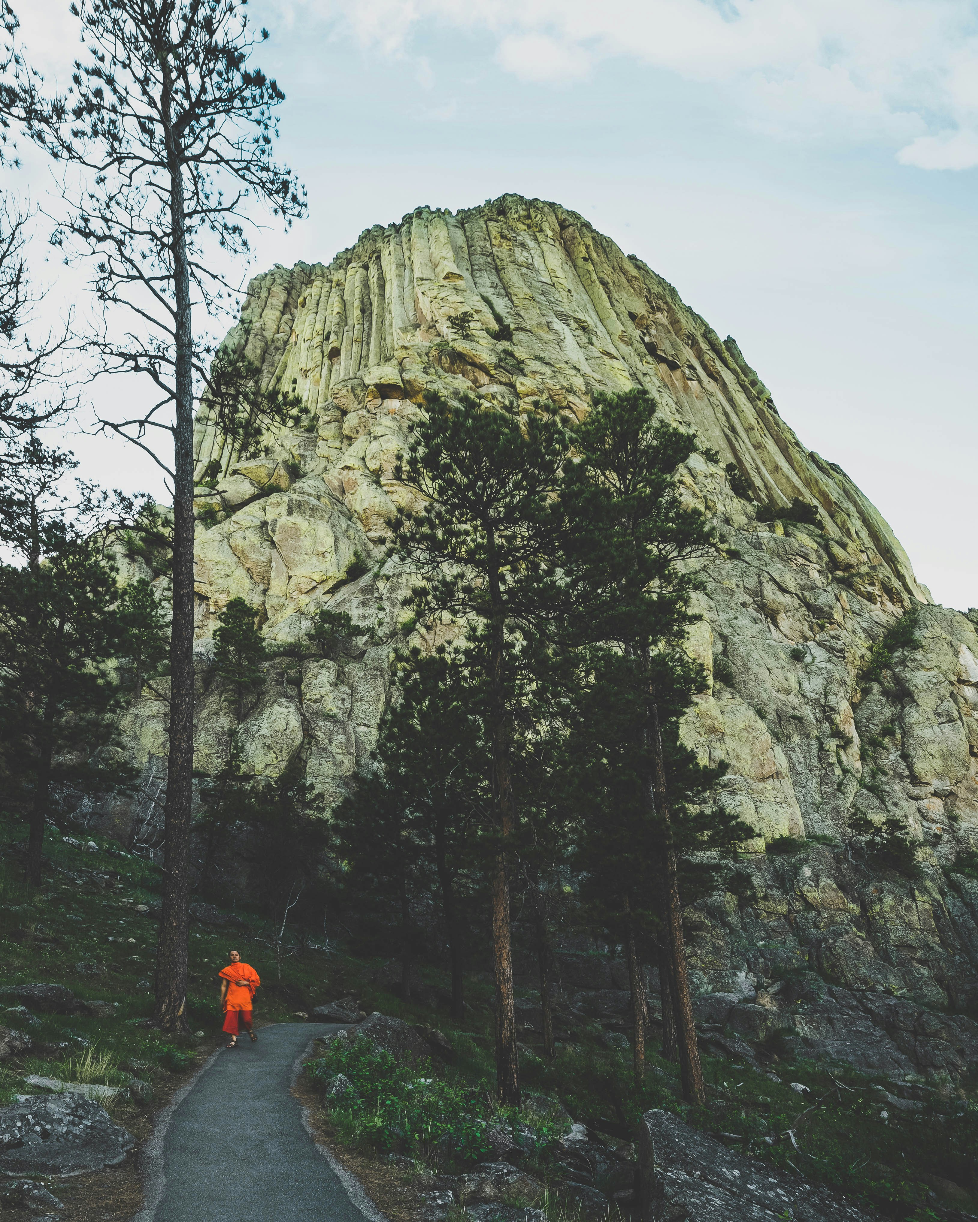 Hombre con top naranja de pie cerca de los árboles durante el día