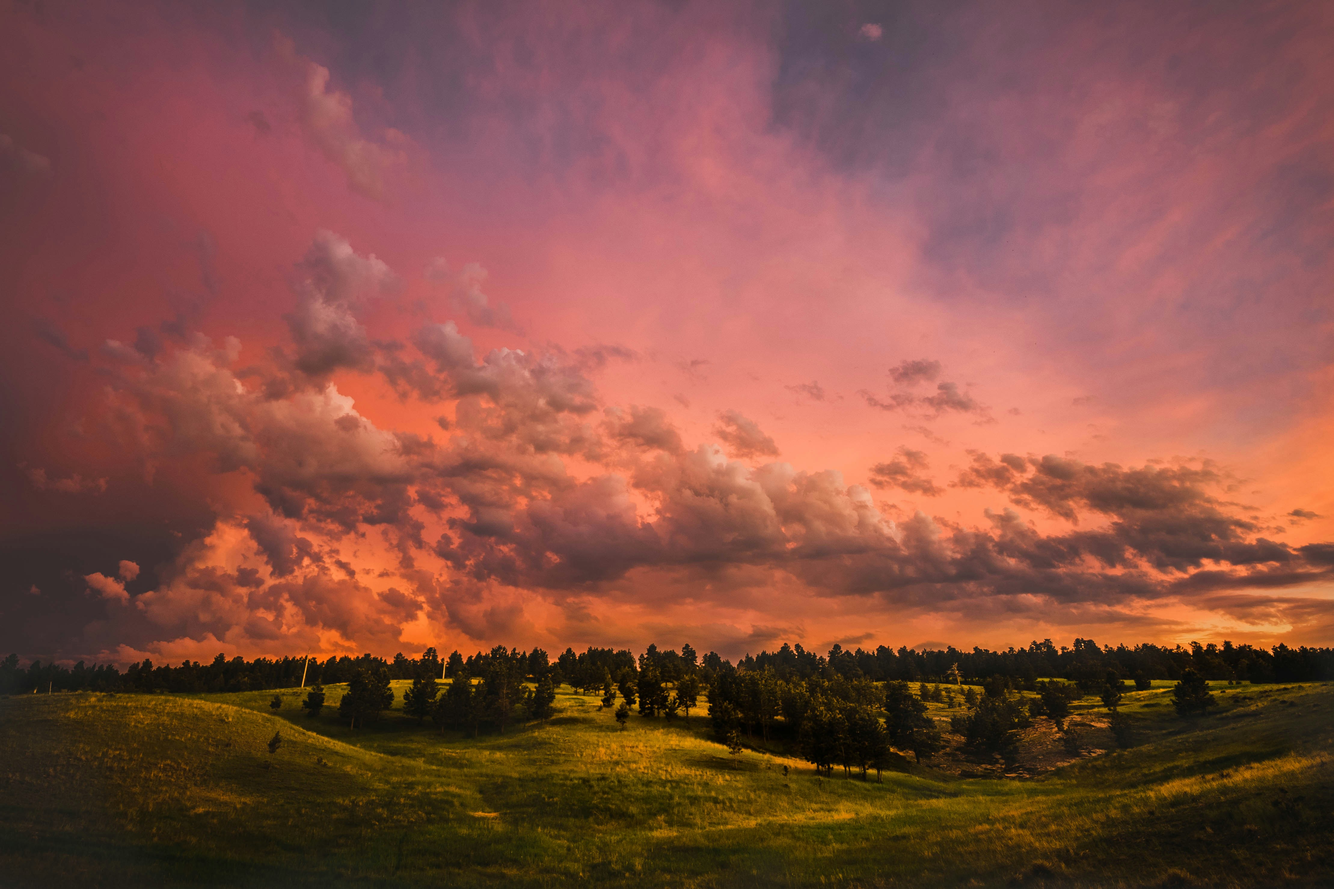 Photo by kiwithompson