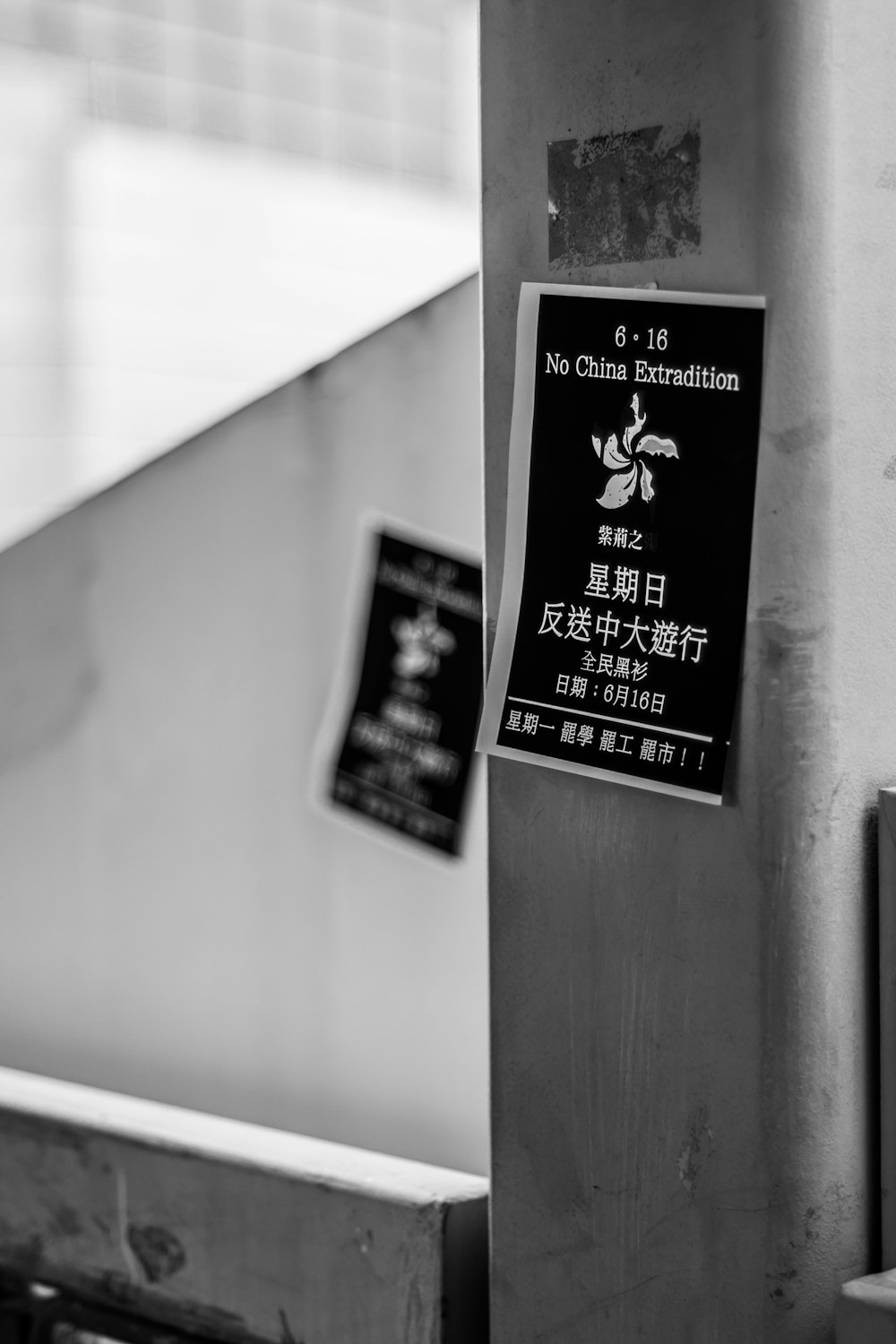 grayscale photography of No China Extradition sticker