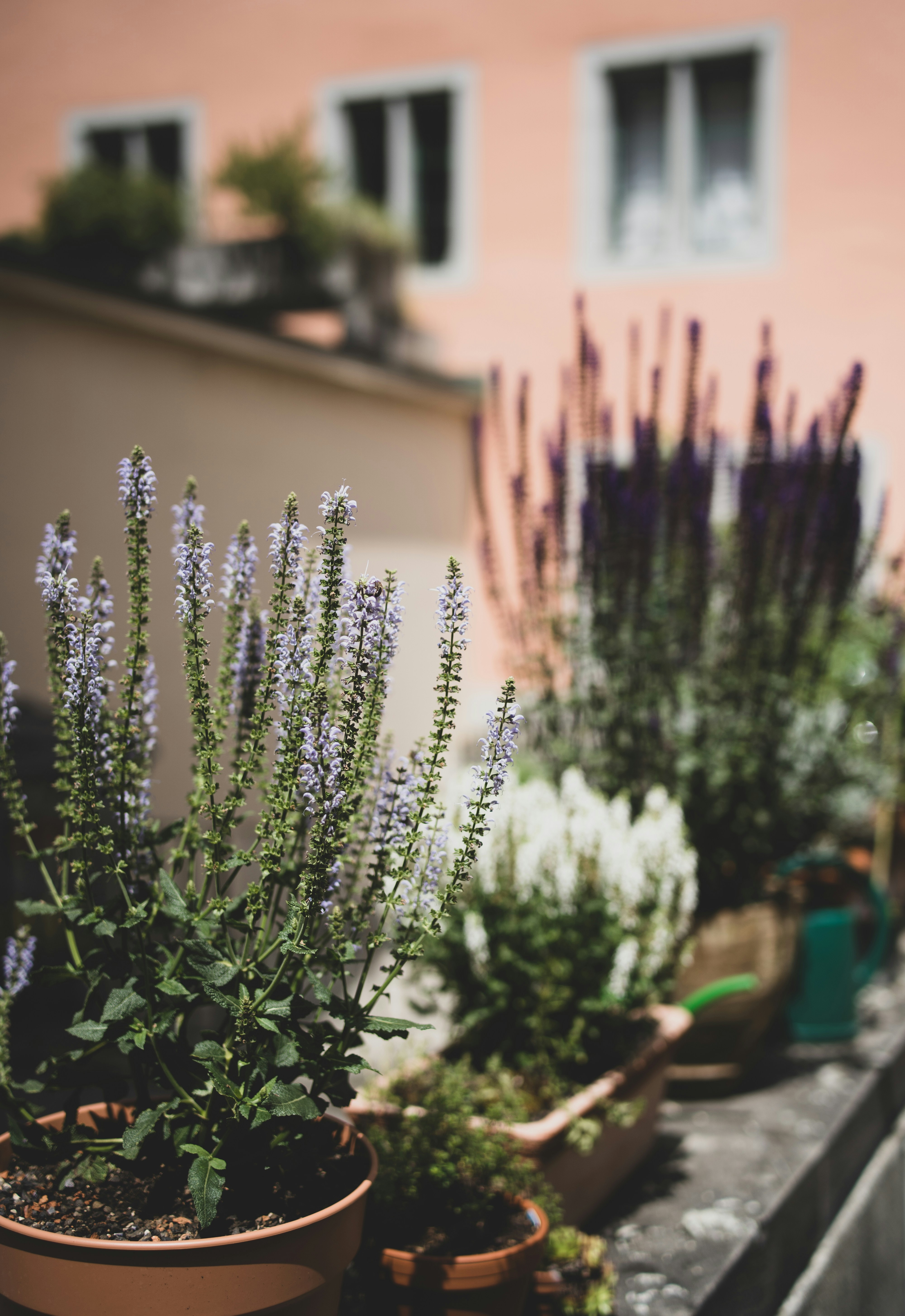 Photo by fabianbaechli