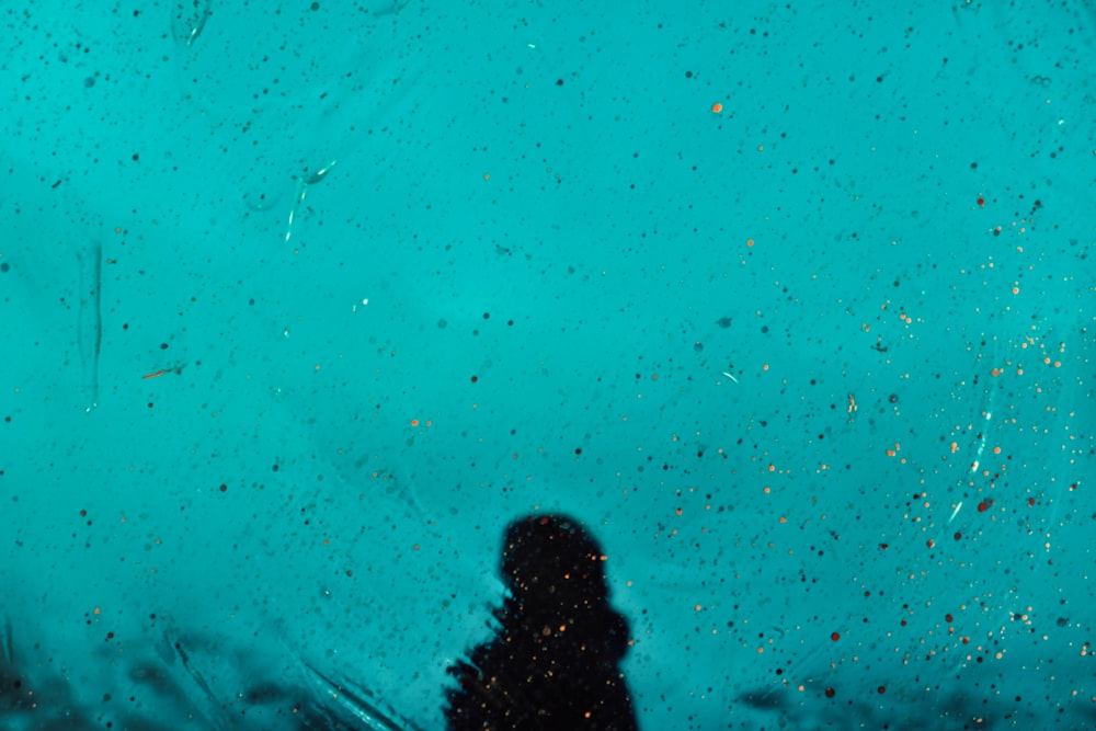 a person standing in front of a blue wall