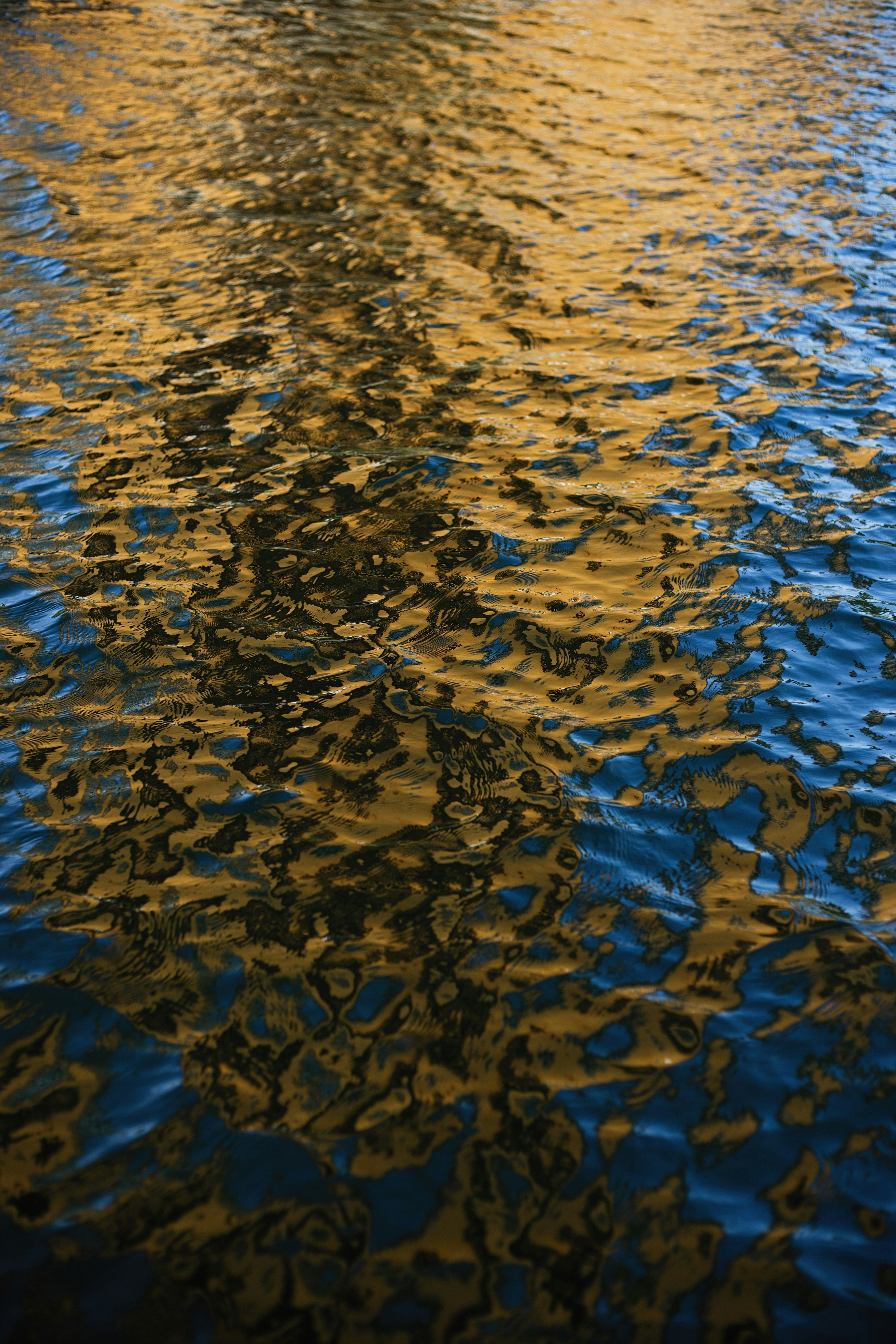 Photo by vinomamba24