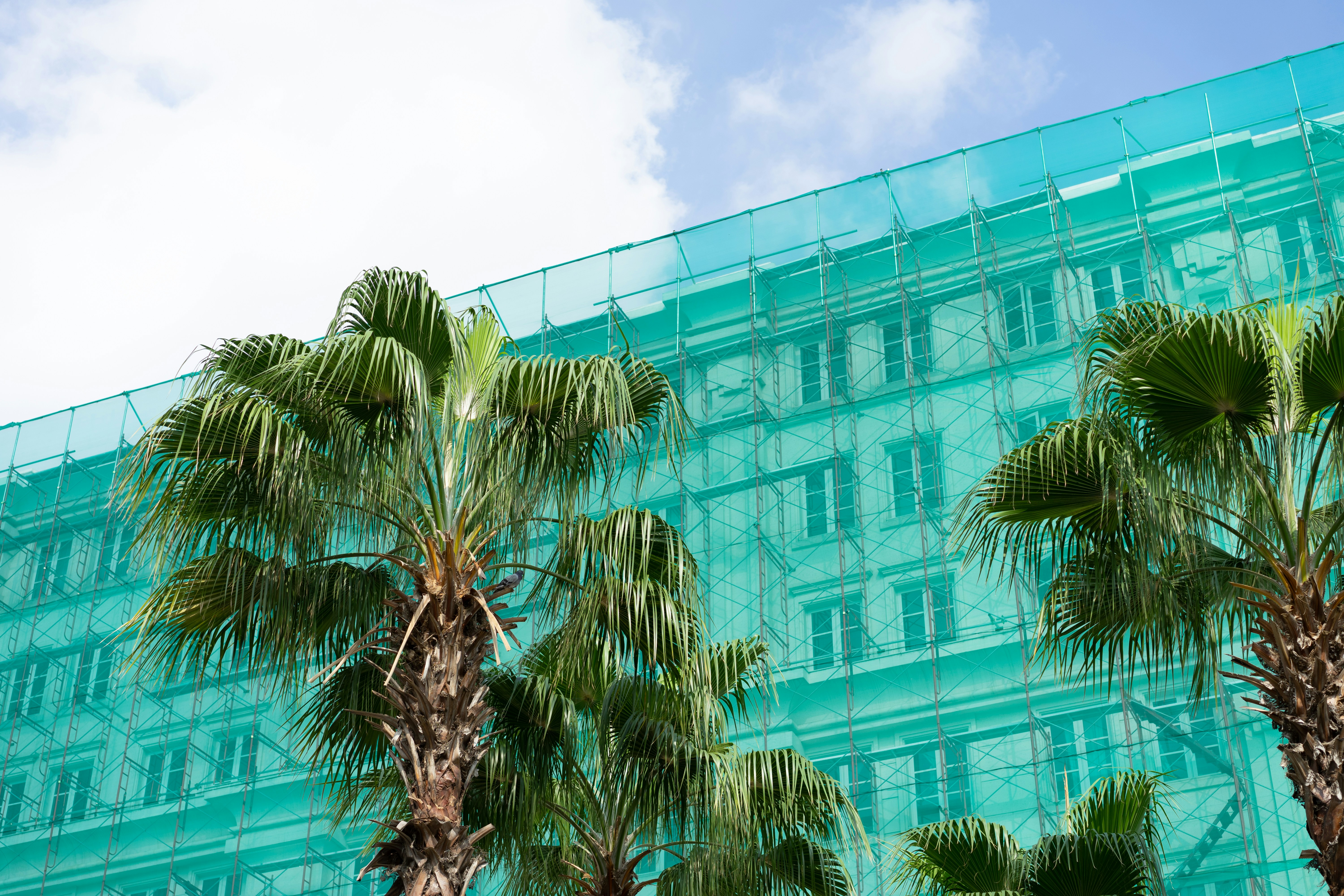 Photo by markuswinkler