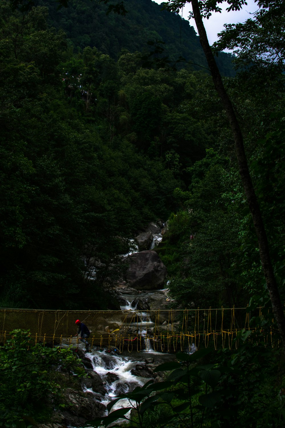 person on hanging bridge during daytime