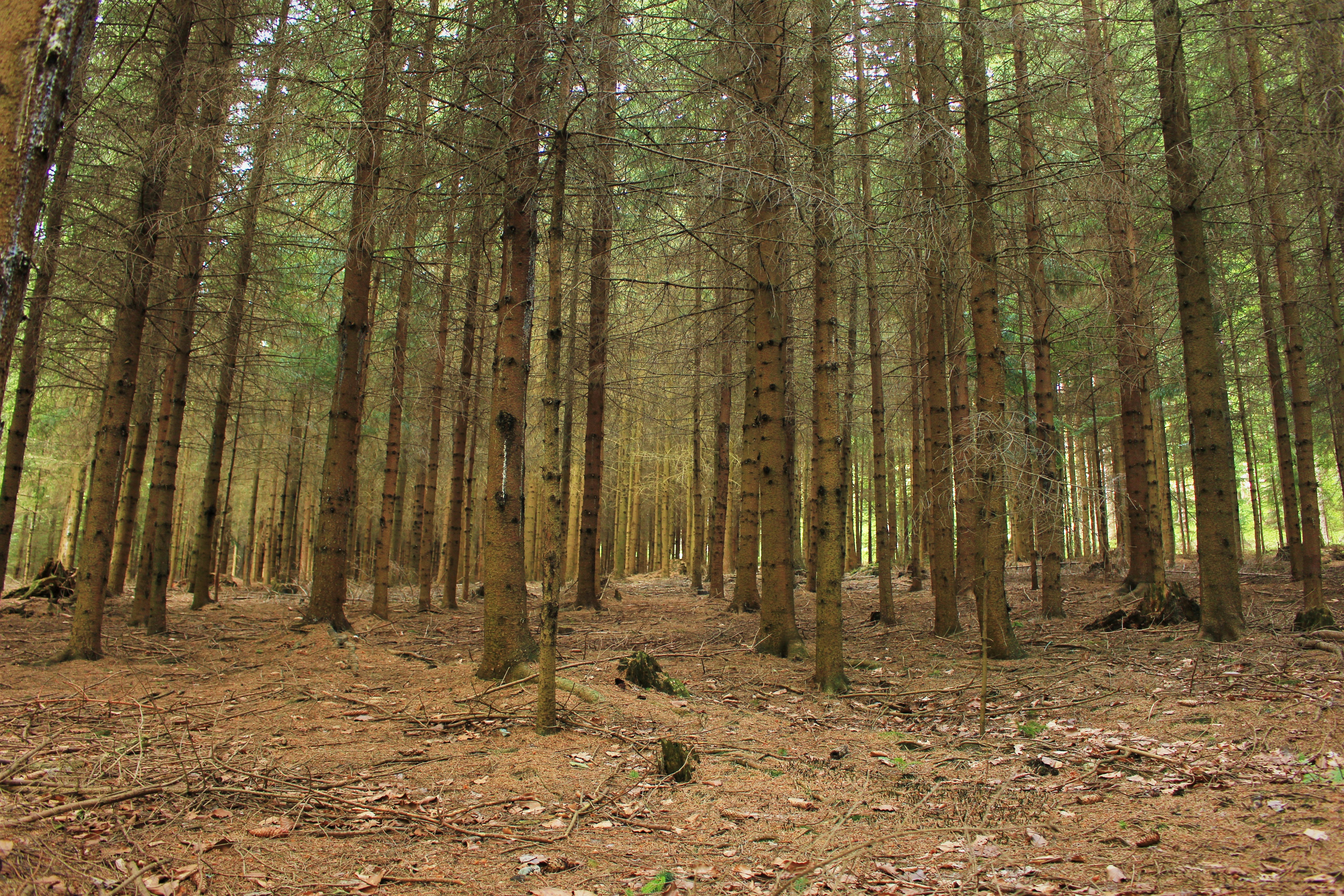 Photo by marjorylucabaxter