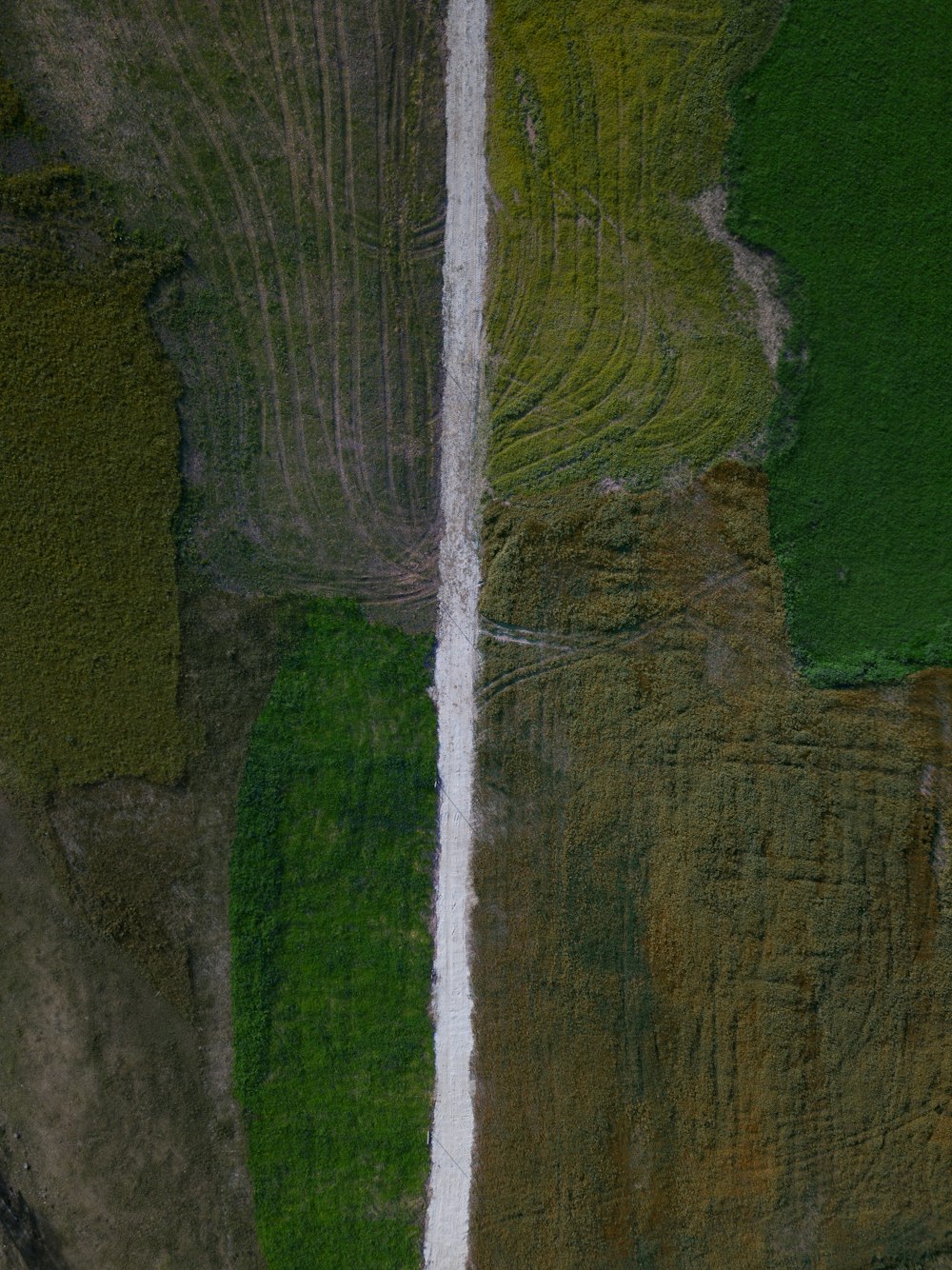 top view of a green and brown farms