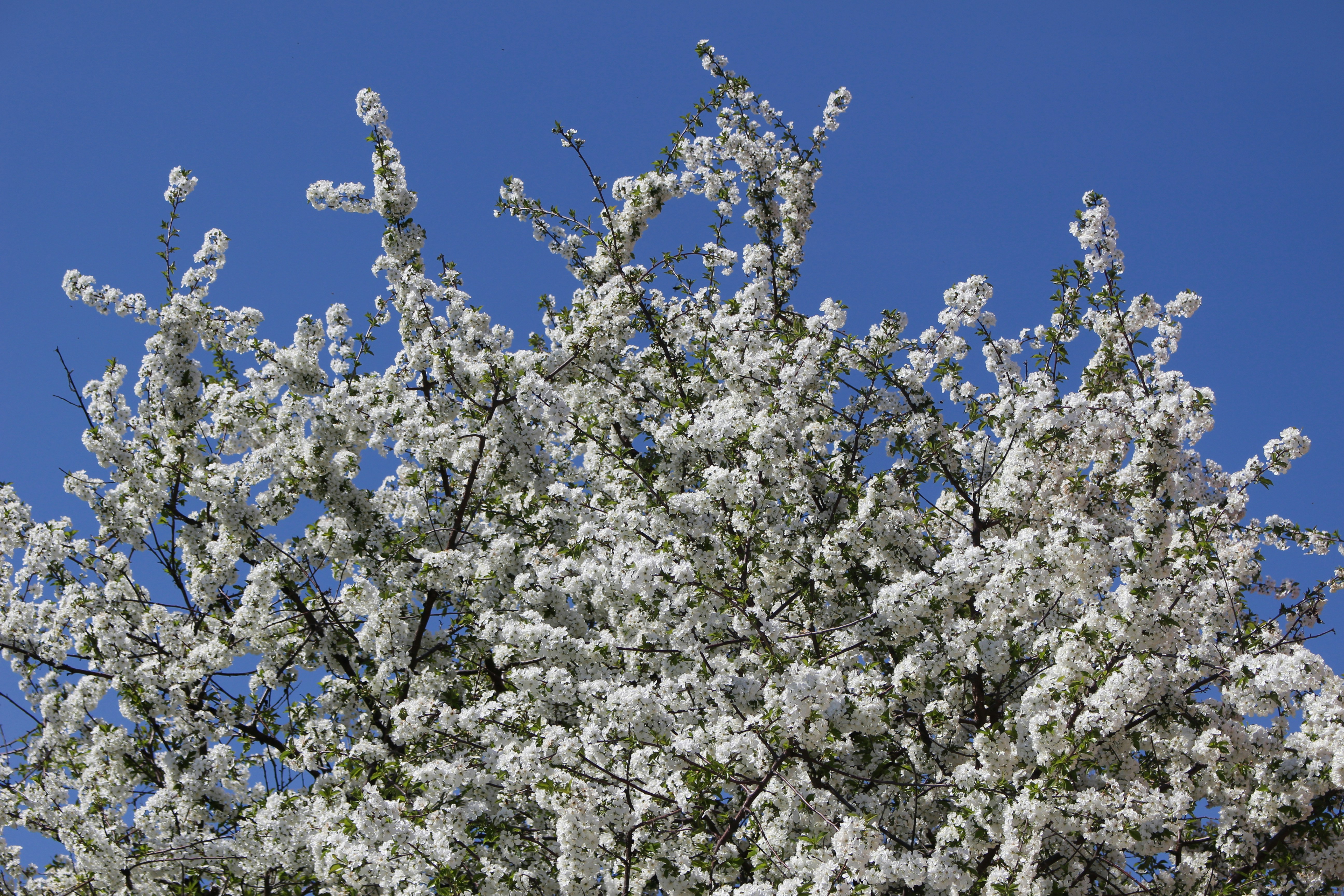 Photo by marjorylucabaxter