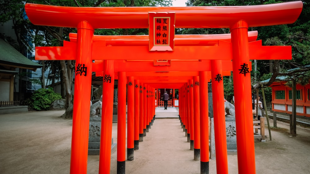 Shinto Shrine during daytime