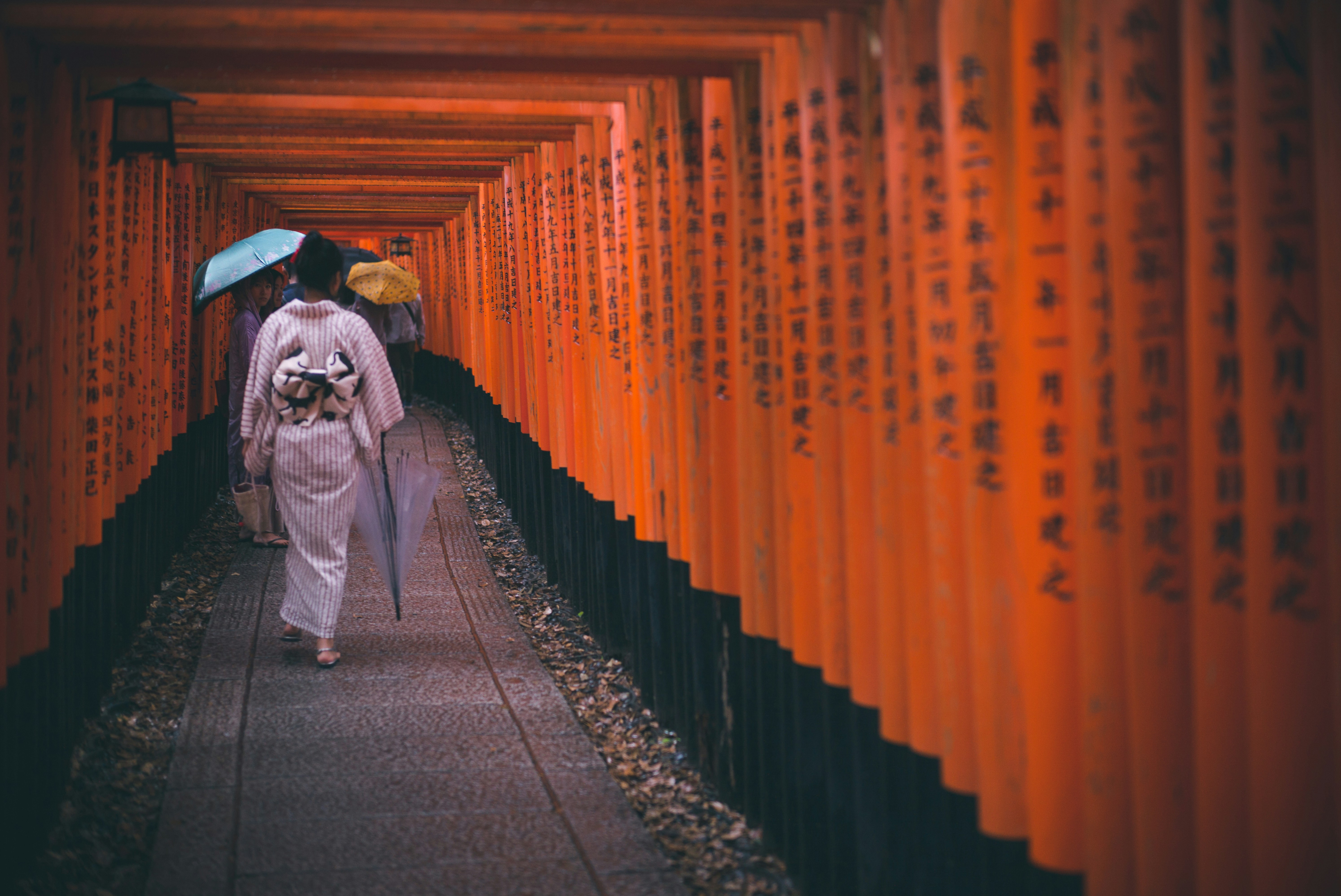 Photo by guoshiwushuang