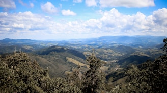 A cinematic view of a lush green landscape with mountains in the background.