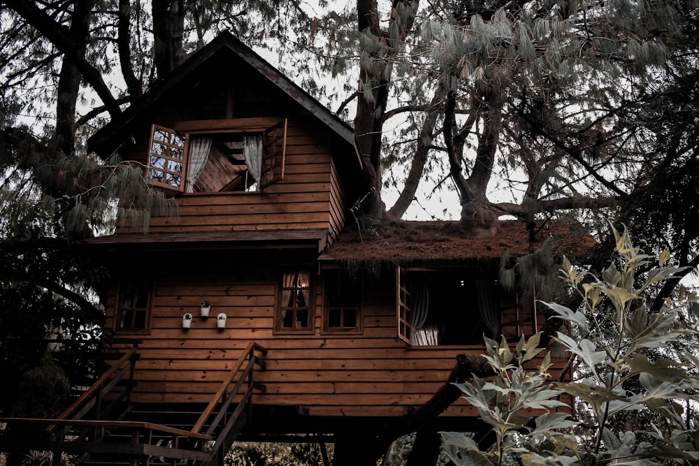 brown wooden tree house during daytime