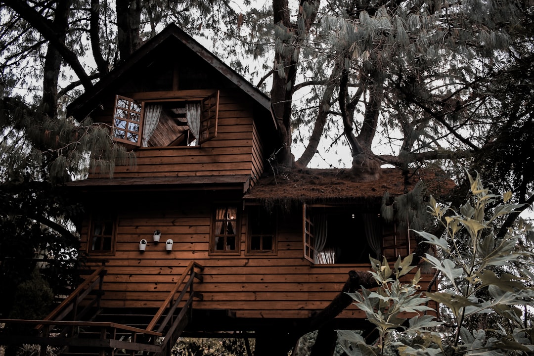 Unique Treehouse Escape Loire Valley's Artistic Forest Retreat Blen… — Unique Treehouse Escape Loire Valley's Artistic
