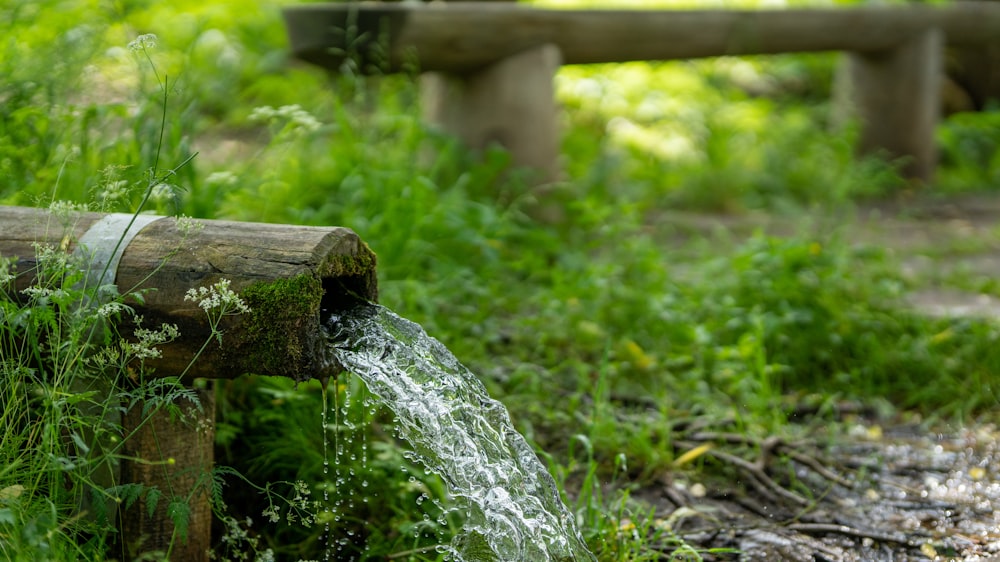 Agua que fluye a través de un tubo de bambú durante el día