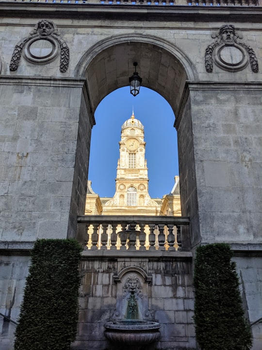 Town Hall things to do in Vienne