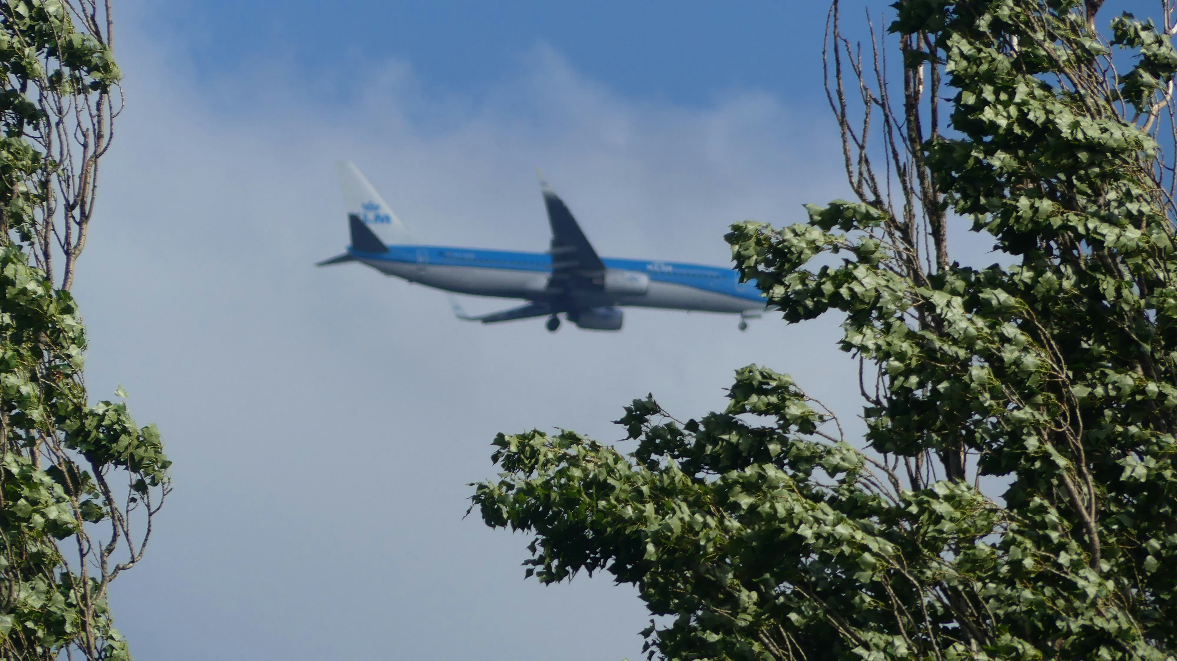blue-and-white airliner flying on high altitude during daytime