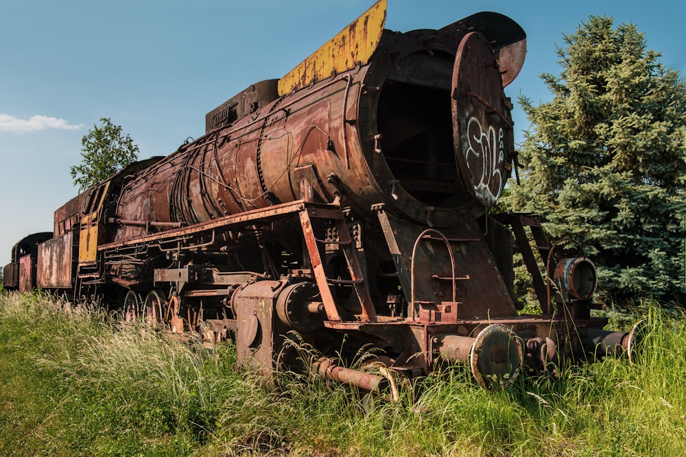 brown train