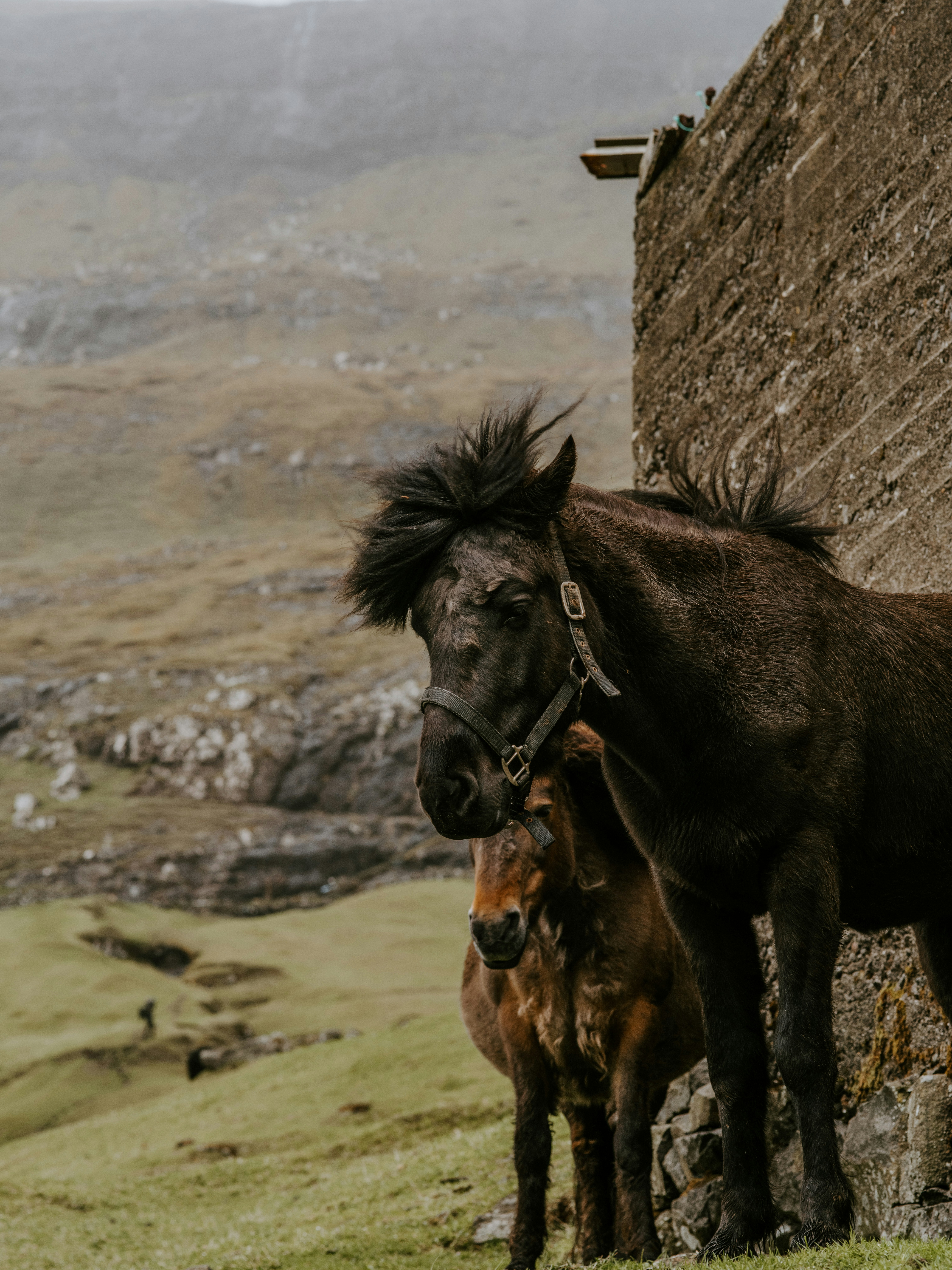 Photo by anniespratt