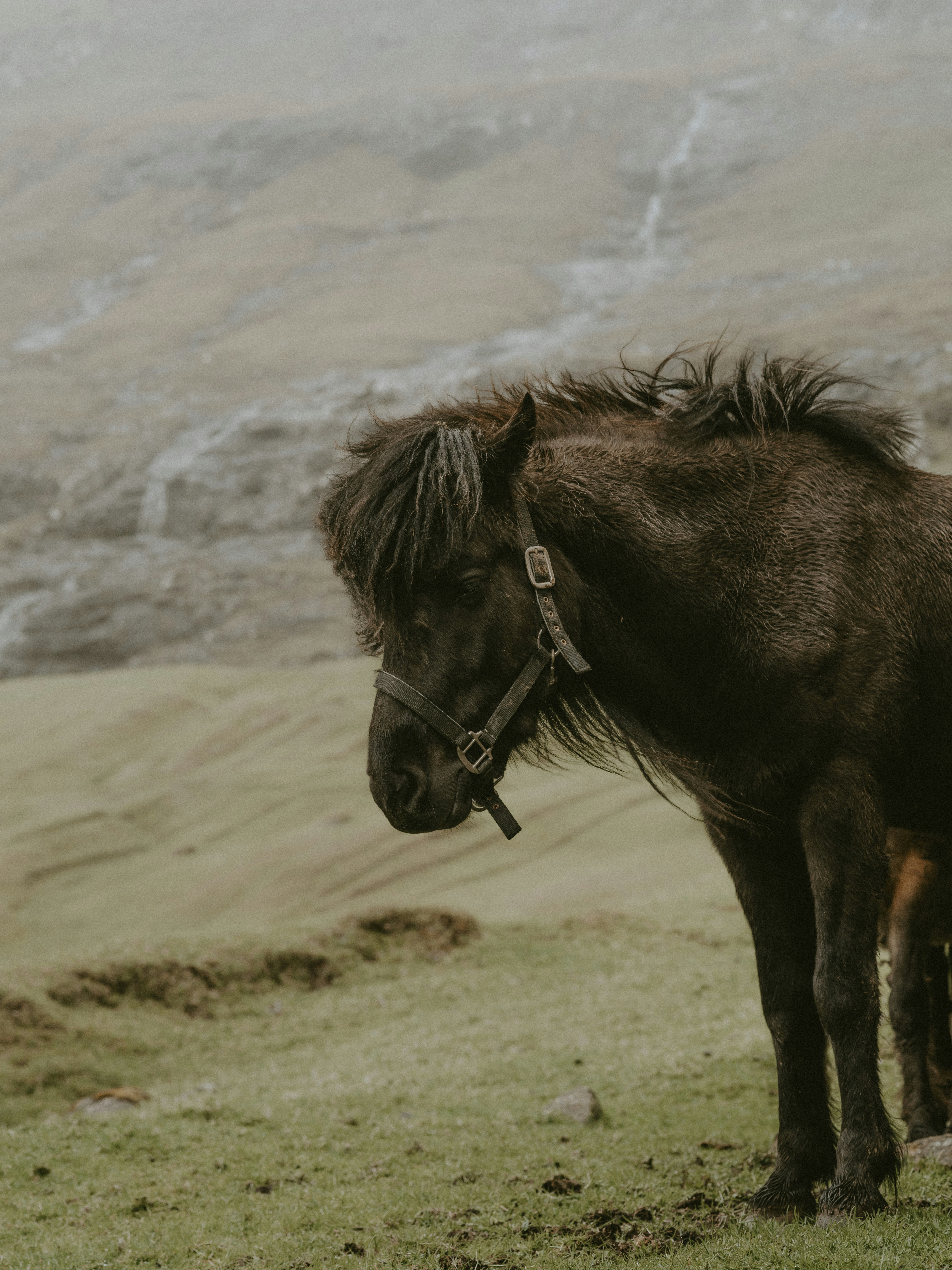 Photo by anniespratt