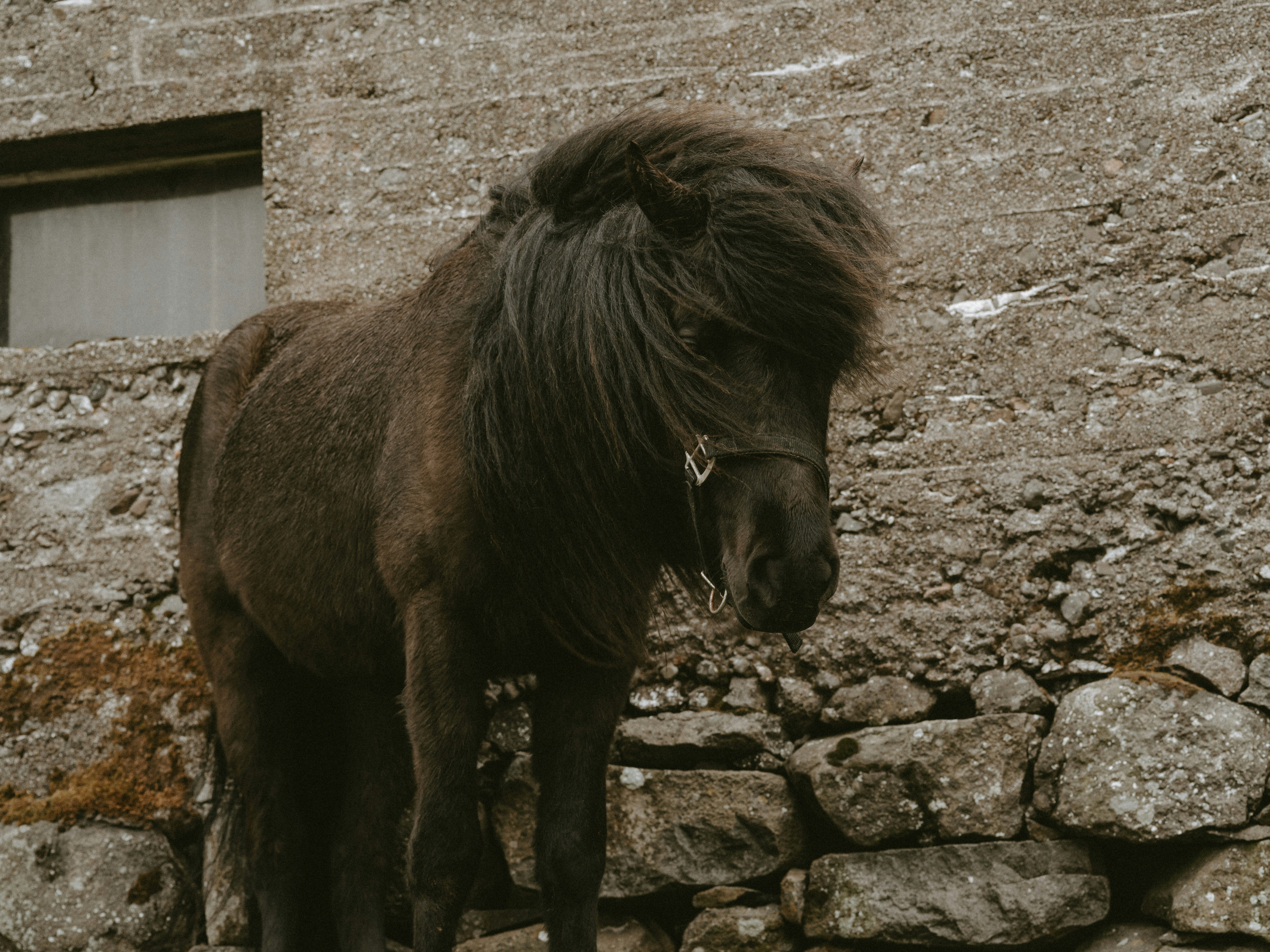 Photo by anniespratt