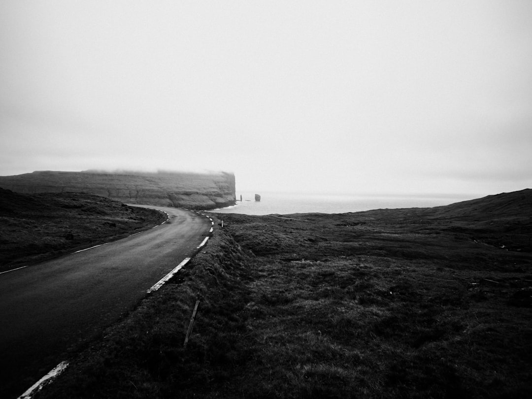 grayscale photography of curved road near body of water during daytime