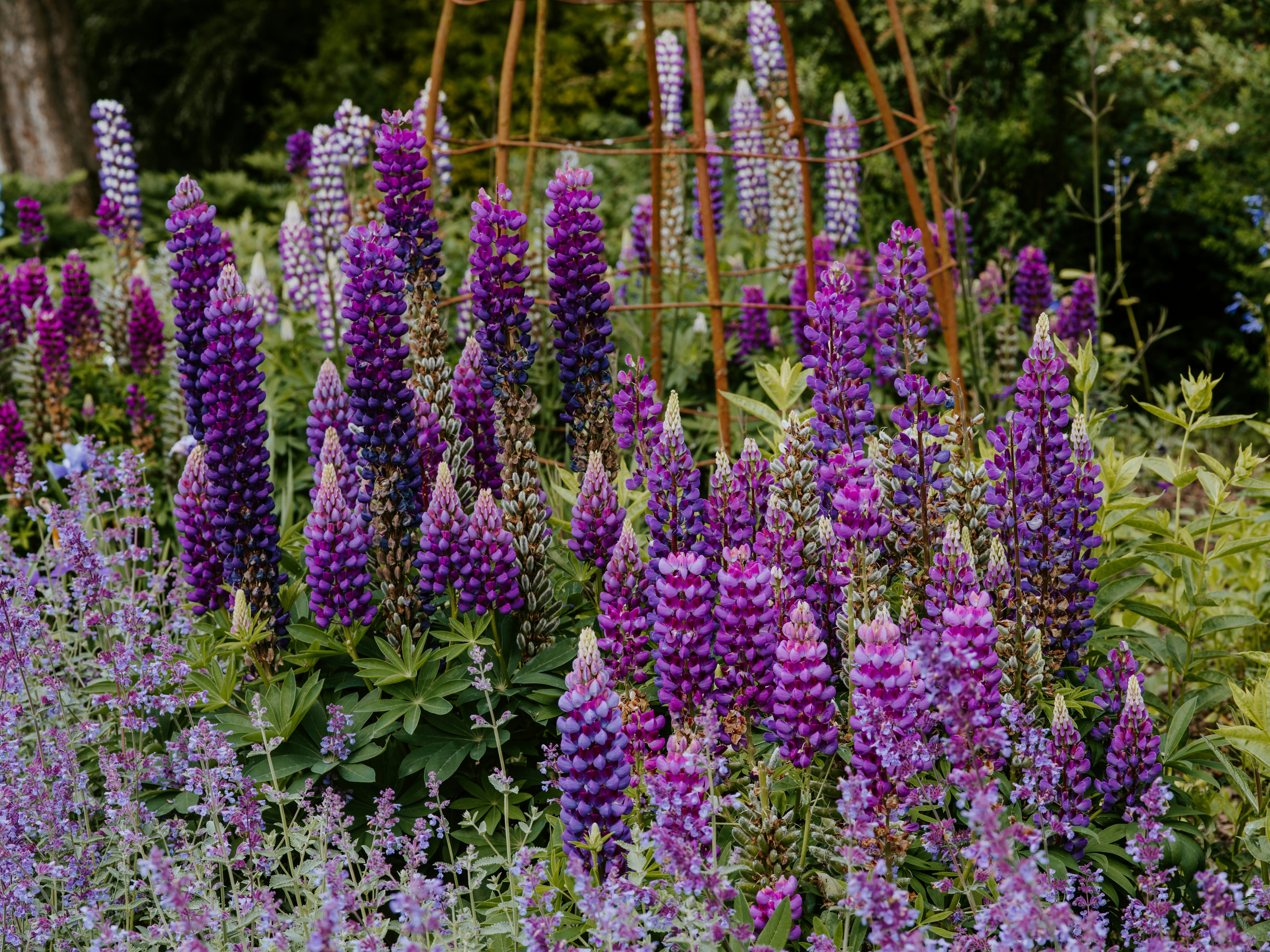 Photo by anniespratt