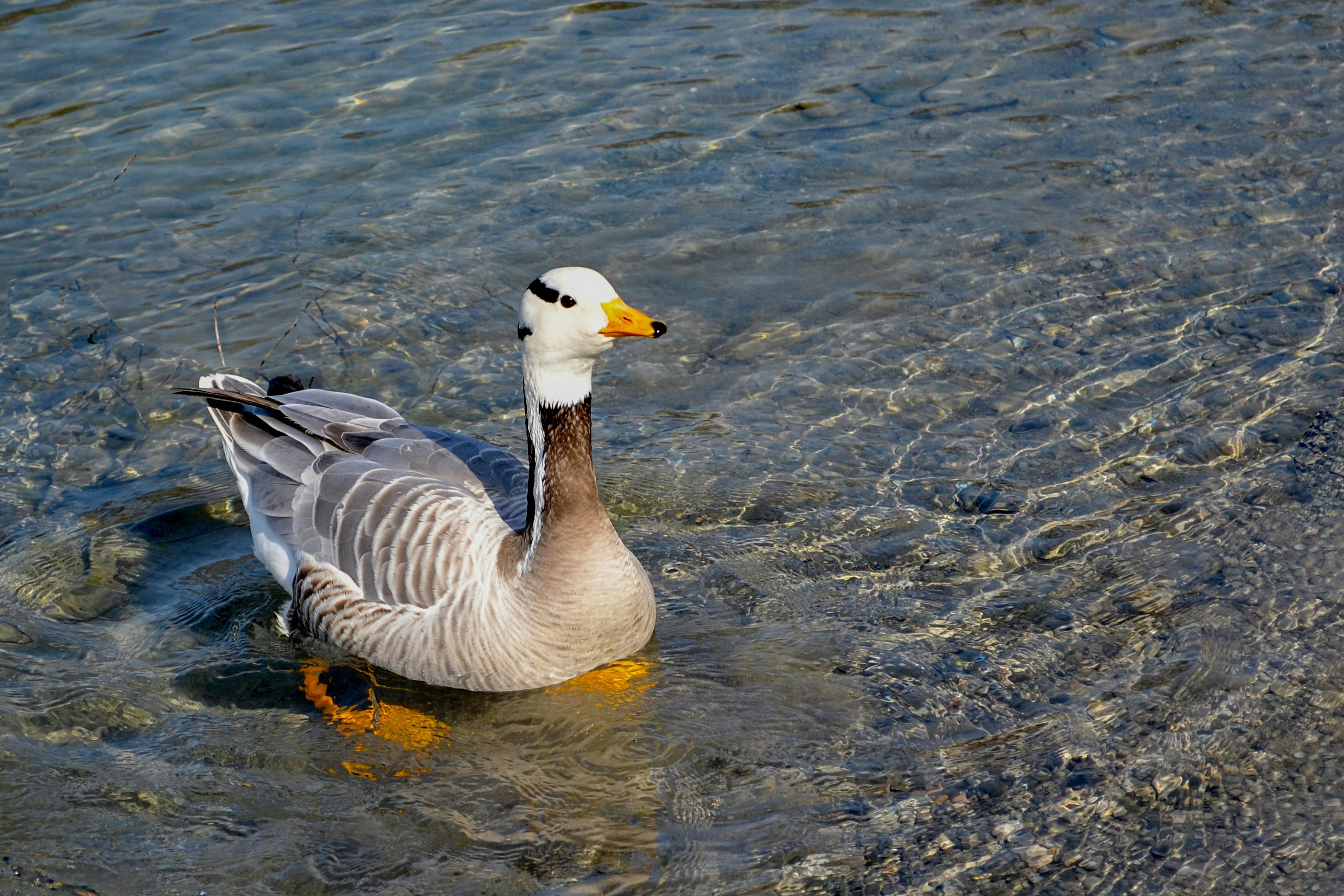 Photo by walter46
