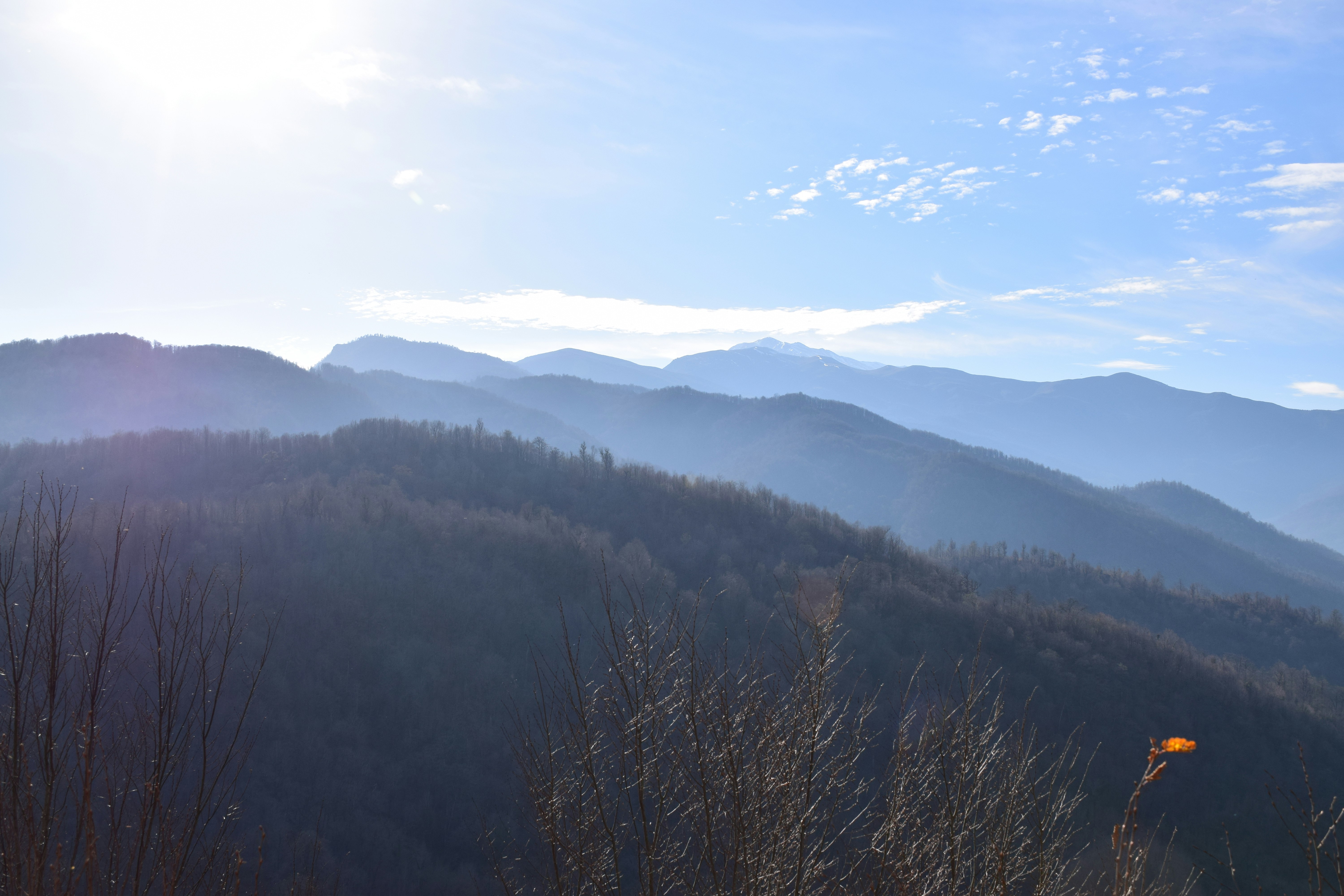 Photo by sinarajabpour