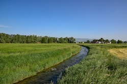 green field