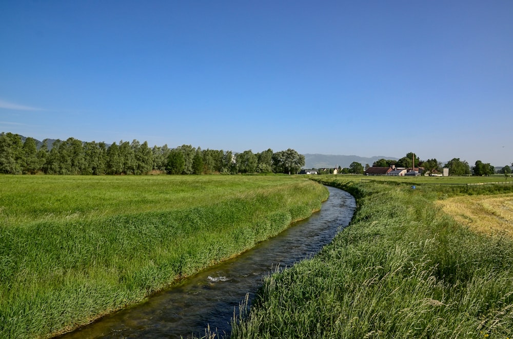 green field