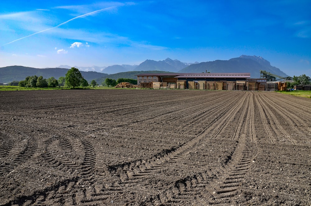 gray field of soil