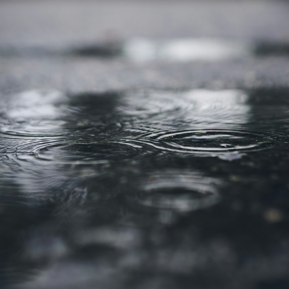 grayscale photo of raindrops