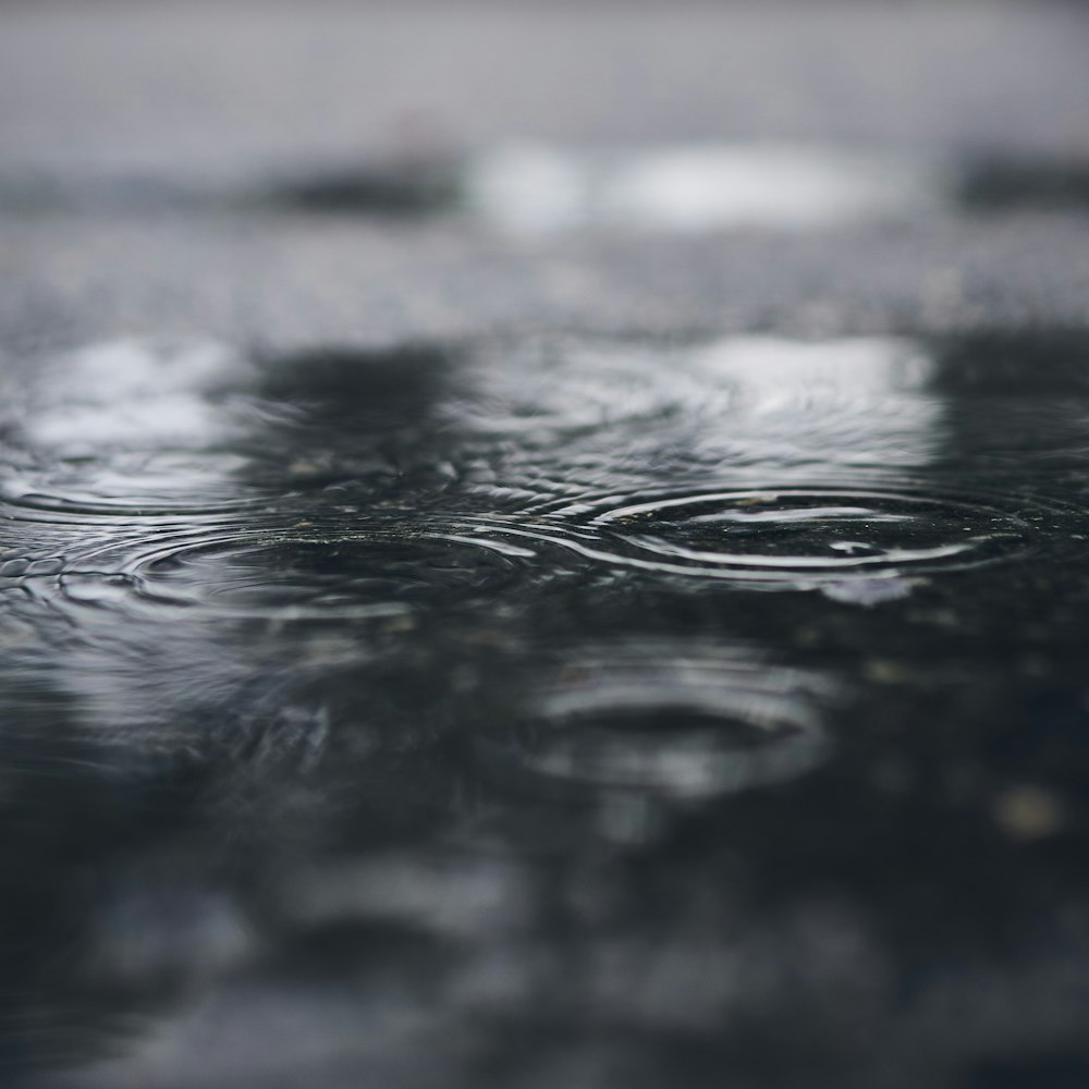 Foto en escala de grises de gotas de lluvia