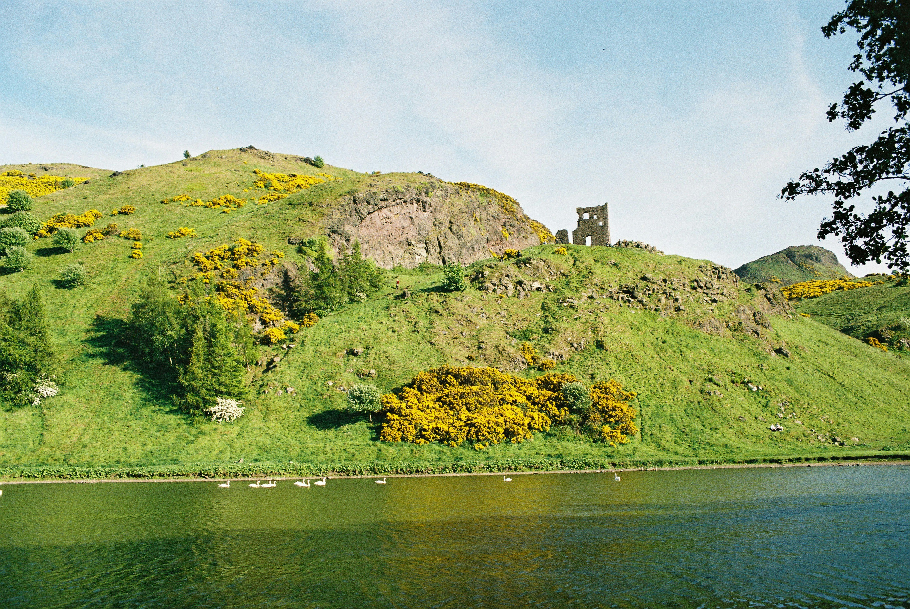 green grass covered hill across river