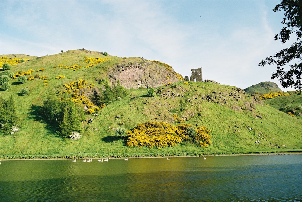 green grass covered hill across river