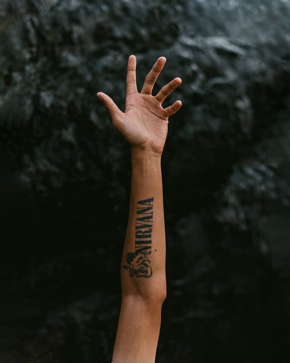 person's left hand photo – Free Arm Image on Unsplash