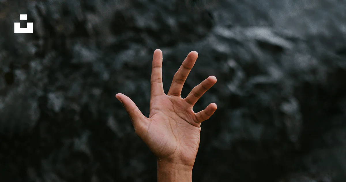 Person's left hand photo – Free Portrait Image on Unsplash