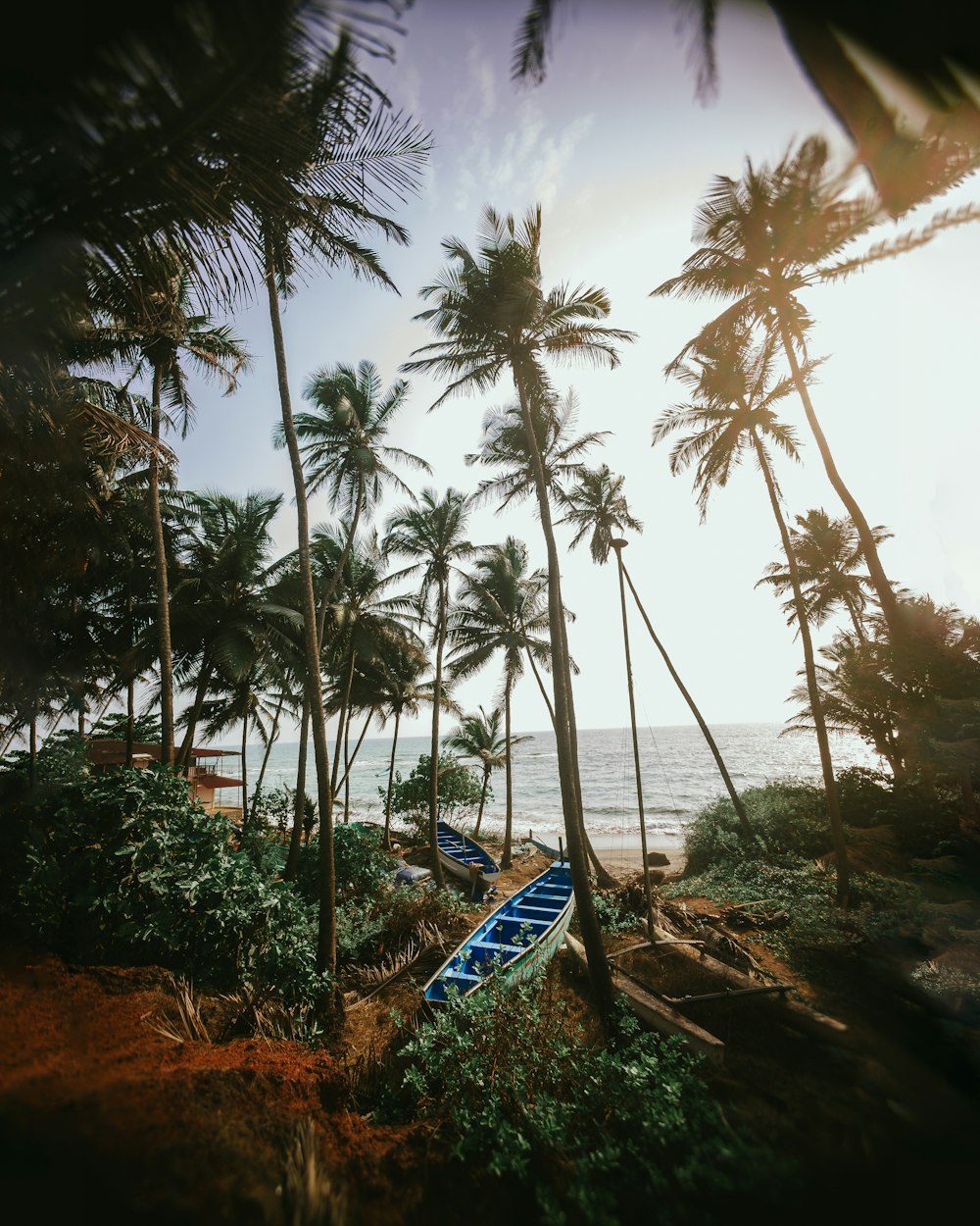 landscape photo of a blue boat and coconut trees