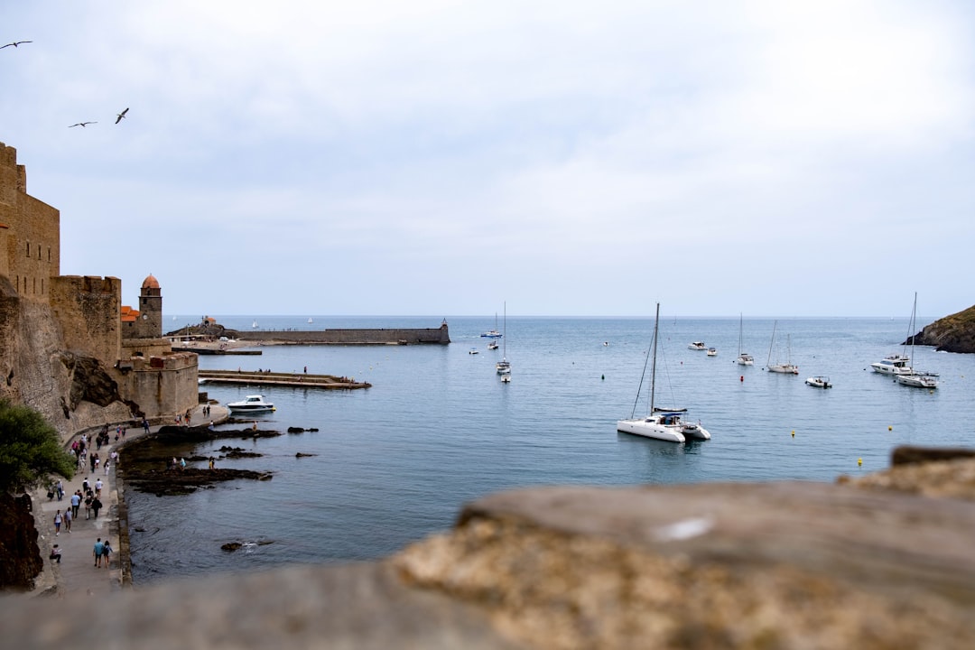 boats in a body of water during daytime